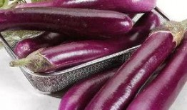 主播吃整个茄瓜视频下载