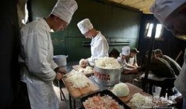 俄罗斯下楼法吃瓜视频,揭秘神秘视频背后的趣味与智慧