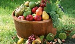 信阳农林吃瓜曝光视频,校园生活引发热议