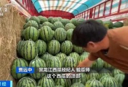 卖吃瓜视频获利多少钱,揭秘网络红利的秘密