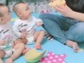 两个宝宝吃瓜视频全集,两个宝宝欢乐吃瓜大揭秘