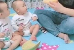 两个宝宝吃瓜视频全集,两个宝宝欢乐吃瓜大揭秘