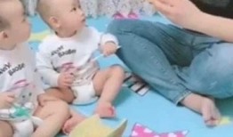 两个宝宝吃瓜视频全集,两个宝宝欢乐吃瓜大揭秘
