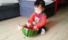 骑行圈吃瓜视频在线观看,揭秘幕后真相，带你领略骑行圈风云变幻