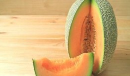 蛇可以吃哈密瓜吗视频教程,哈密瓜在蛇餐中的奇妙之旅