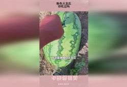 粉色视频吃瓜,揭秘网络热点的背后真相