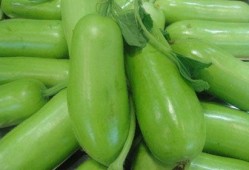 蒲瓜要怎样摘心吃呢视频,蒲瓜摘心技巧与美味食用指南