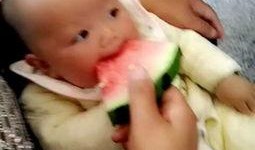 两个宝宝吃瓜视频全集,两个宝宝欢乐吃瓜大揭秘