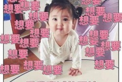 泼妇吵架吃瓜视频播放,泼妇吵架吃瓜视频，网友热议不断，揭秘现实生活中的“口水战”