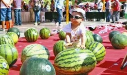 河南鹿邑吃瓜事件视频,一场网络热议的街头冲突