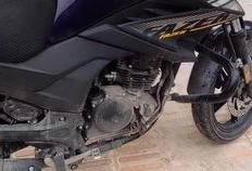 河南豪哥吃瓜视频,揭秘娱乐圈幕后故事