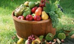 信阳农林吃瓜曝光视频,校园生活引发热议