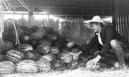 郓城吃瓜群众事件视频