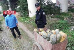 平乡县吃瓜事件视频曝光,视频曝光揭示惊人真相