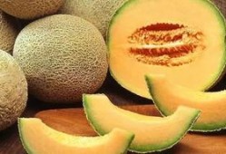 演员直播吃哈密瓜视频,演员大快朵颐，哈密瓜成焦点美食