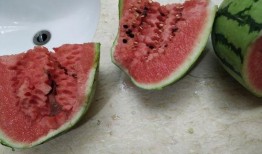 最便宜的吃瓜视频是哪个,最实惠的吃瓜视频平台大盘点