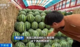 卖吃瓜视频获利多少钱,揭秘网络红利的秘密