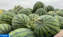 卖吃瓜视频获利多少钱,揭秘网络红利的秘密