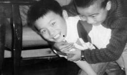 吃瓜玩具的视频,趣味互动，寓教于乐新体验