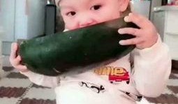 两个宝宝吃瓜视频全集,两个宝宝欢乐吃瓜大揭秘