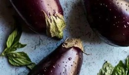 主播吃整个茄瓜视频下载