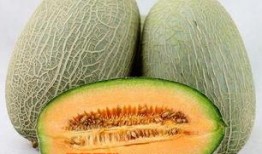 哈密瓜怎么完整去皮吃视频,尽享哈密瓜美味——视频教学