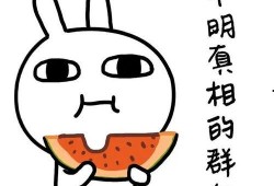 强行卖萌吃瓜视频下载