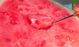 吃瓜被打哭的视频素材,一场网络暴力引发的悲剧