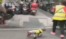 吃瓜小狗车祸视频大全集,惊心动魄！吃瓜小狗车祸视频大全集回顾