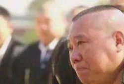 张家川吃瓜事件始末视频,一场网络热议的始末揭秘