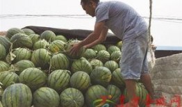 最便宜的吃瓜视频是哪个,最实惠的吃瓜视频平台大盘点