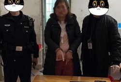 入室盗窃吃瓜视频大全,揭秘犯罪现场惊心动魄一幕
