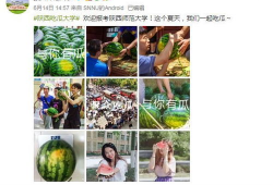 樱校吃瓜视频大赛