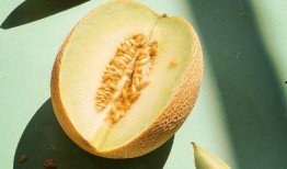 蛇可以吃哈密瓜吗视频教程,哈密瓜在蛇餐中的奇妙之旅