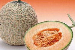 虎哥吃哈密瓜视频播放,视频播放引网友热议