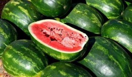 河边吃瓜视频素材下载,揭秘夏日街头趣味瞬间