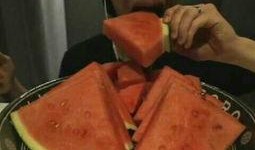 吃瓜嚼东西的视频,揭秘吃瓜嚼东西的趣味瞬间