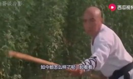 锤神吃瓜讲解视频,揭秘热门事件背后的真相与笑料