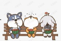 和狗吃瓜的视频素材,萌宠趣味瞬间