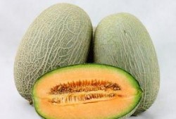 吃哈密瓜帅哥视频大全下载,视频大全下载盛宴