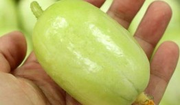 金童玉女吃瓜视频,吃瓜群众直呼“太甜了！”