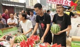 朝阳网吃瓜群众视频,揭秘网络热点背后的真相